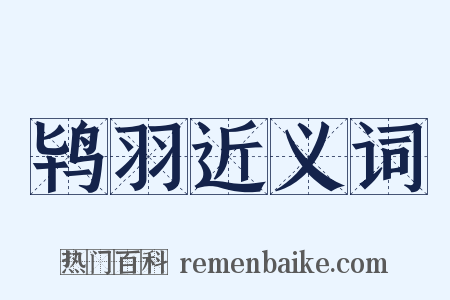 鸨羽近义词是什么意思的图片